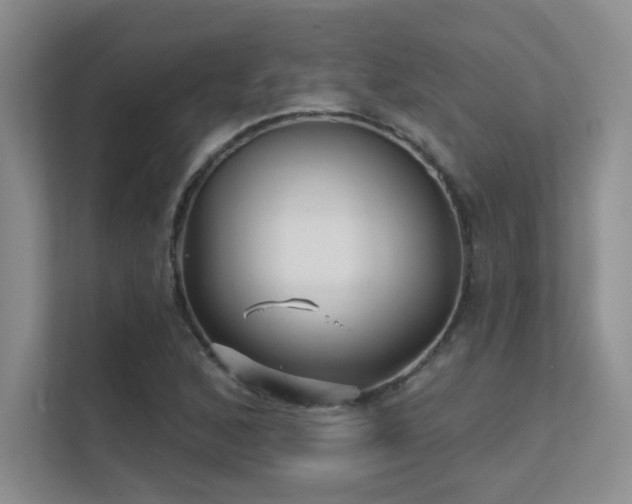 X0000112431168200908141425