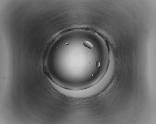 X0000112431169200908141425