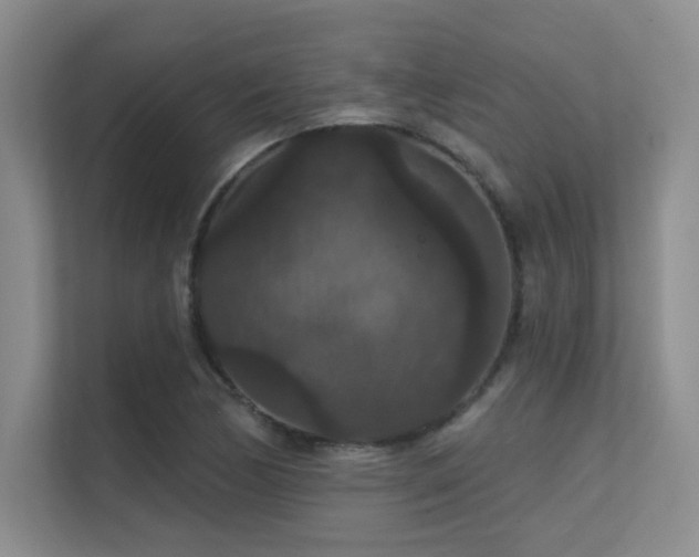 X0000112431170200908141425