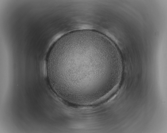 X0000112431171200908141425