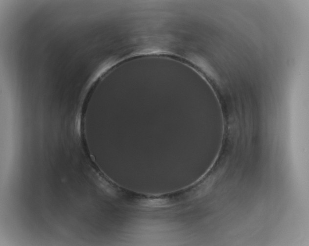 X0000112431173200908141425