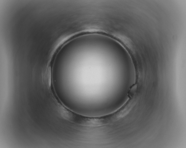 X0000112431175200908141425