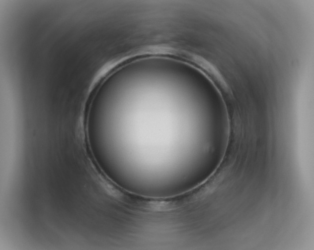 X0000112431176200908141425