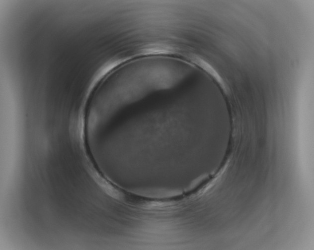 X0000112431179200908141425