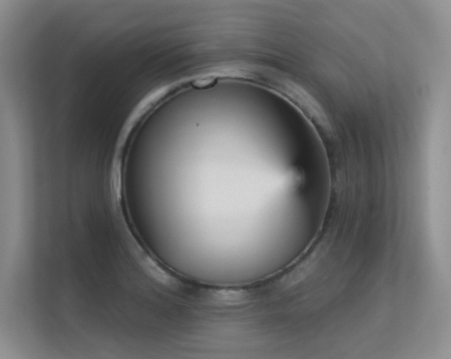 X0000112431180200908141425