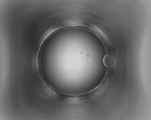 X0000112431182200908141425