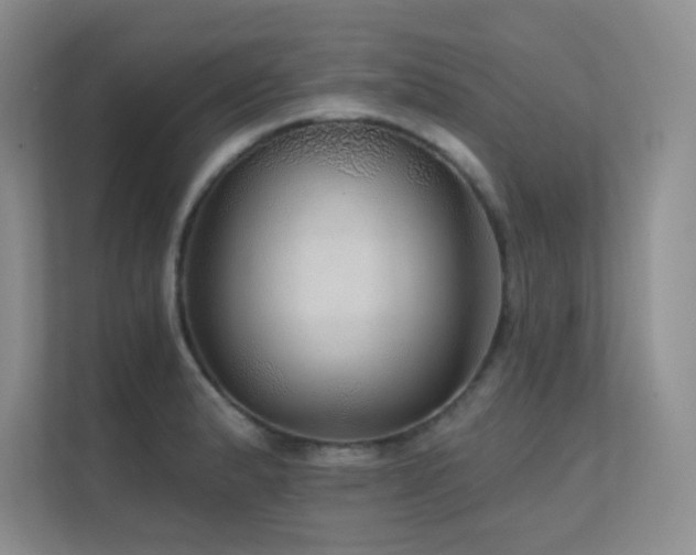 X0000112431183200908141425