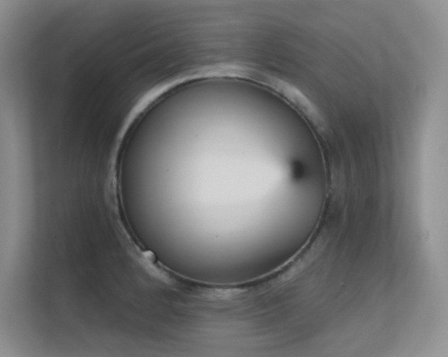 X0000112431184200908141425
