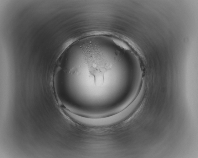 X0000112431185200908141425
