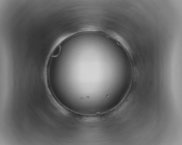 X0000112431187200908141425
