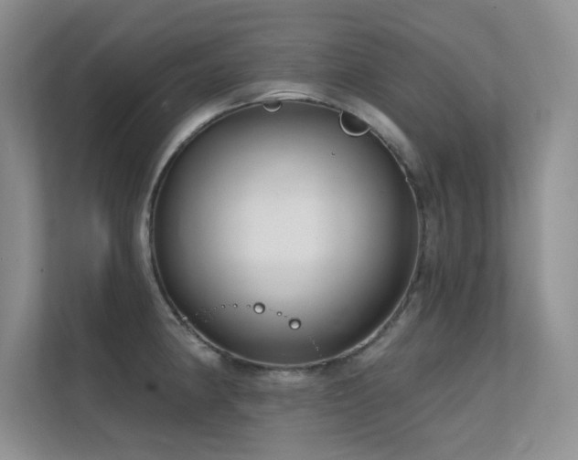 X0000112431190200908141425