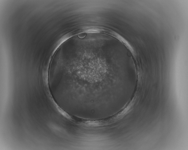 X0000112431194200908141425