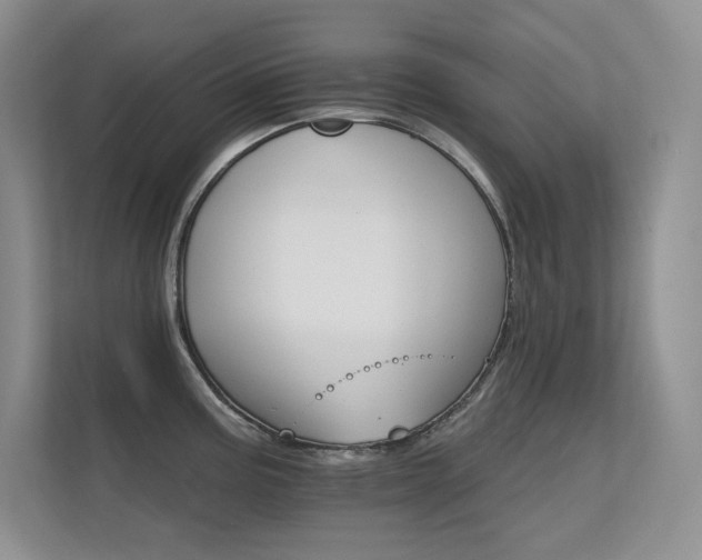 X0000112431195200908141425