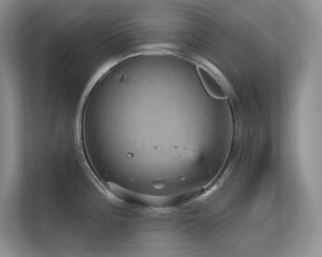 X0000112431196200908141425