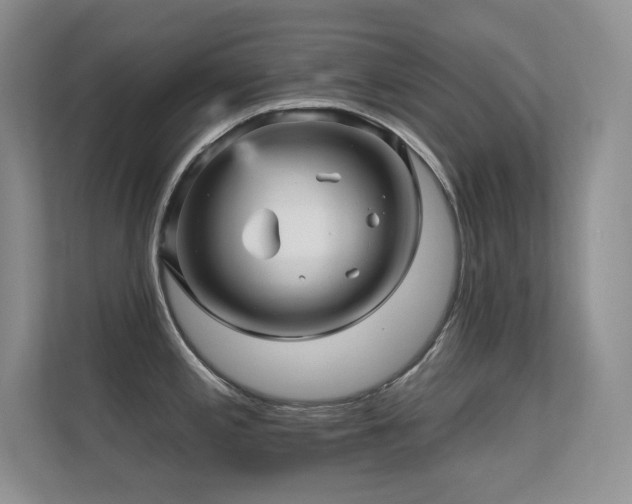 X0000112431197200908141425