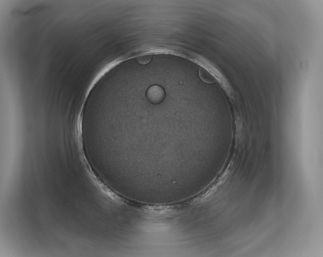 X0000112431198200908141425