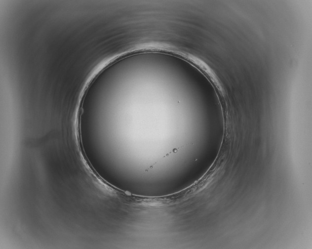 X0000112431199200908141425