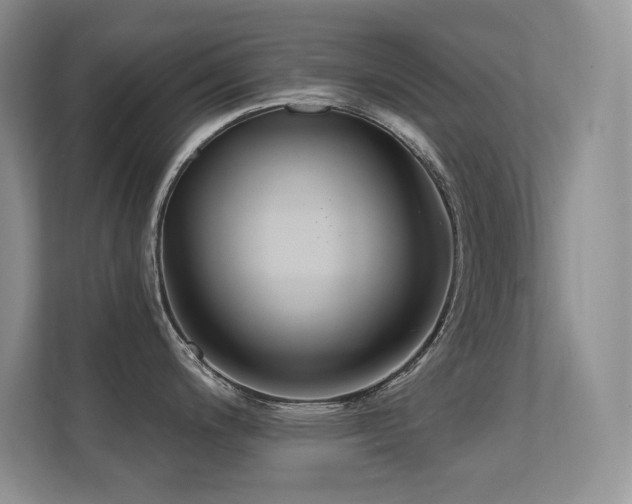 X0000112431200200908141425
