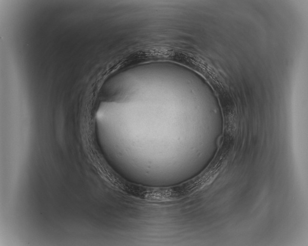 X0000112431201200908141424