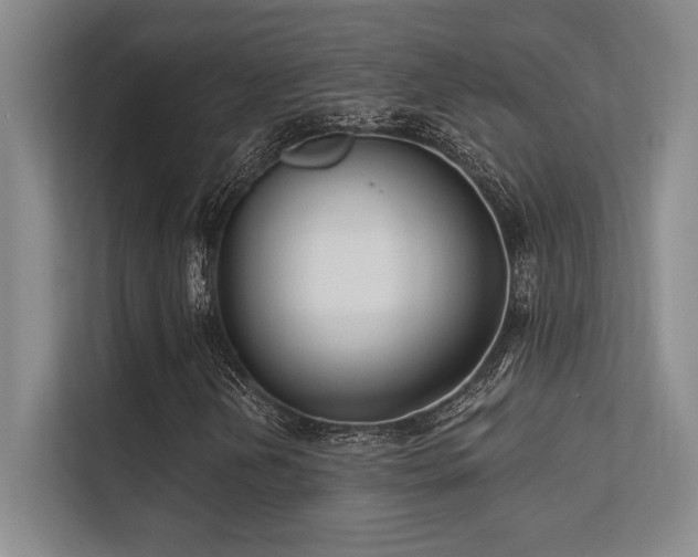 X0000112431202200908141424