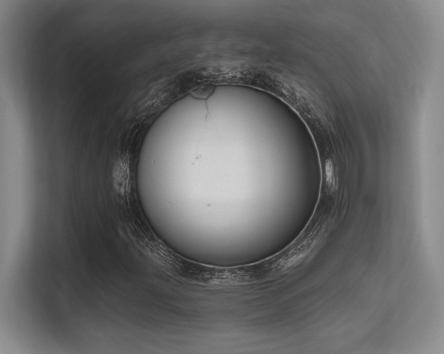 X0000112431203200908141424