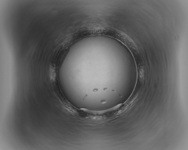 X0000112431204200908141424