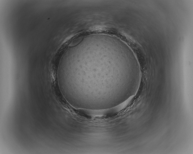 X0000112431206200908141424