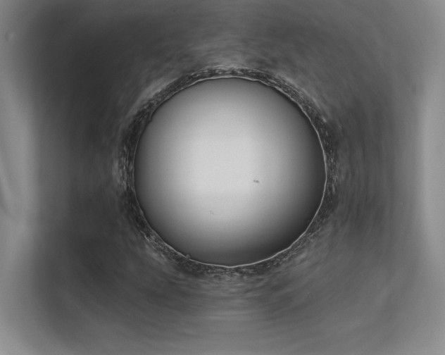 X0000112431207200908141424