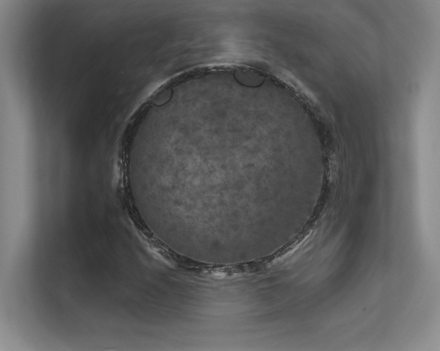 X0000112431208200908141424