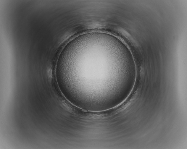 X0000112431209200908141424
