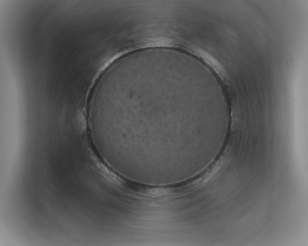 X0000112431212200908141424