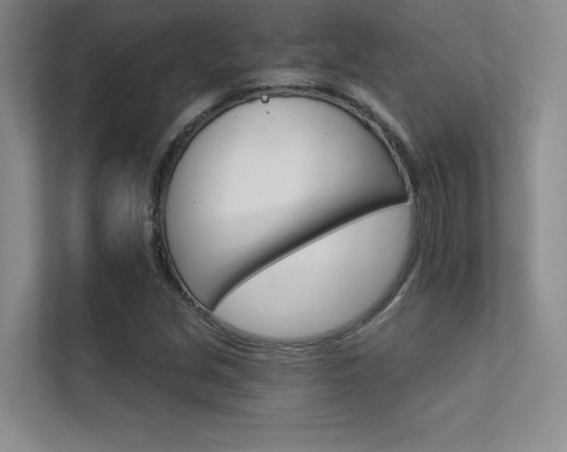 X0000112431213200908141424