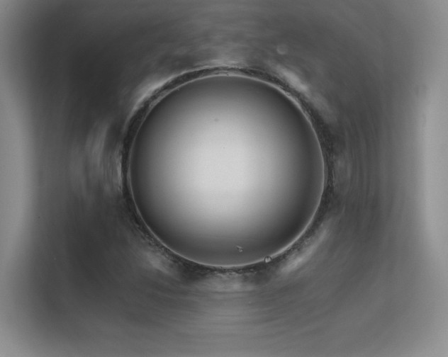 X0000112431214200908141424