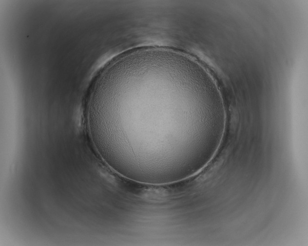 X0000112431215200908141424