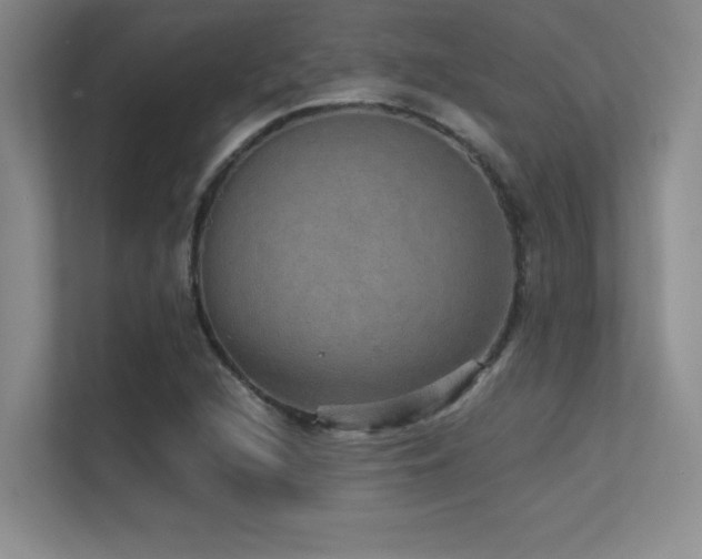 X0000112431216200908141424