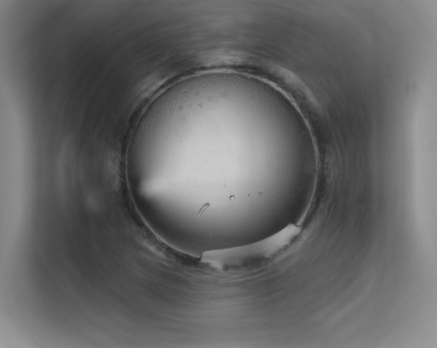 X0000112431217200908141424