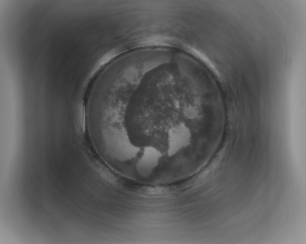 X0000112431219200908141424