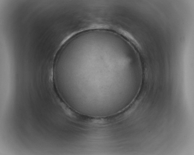 X0000112431220200908141424