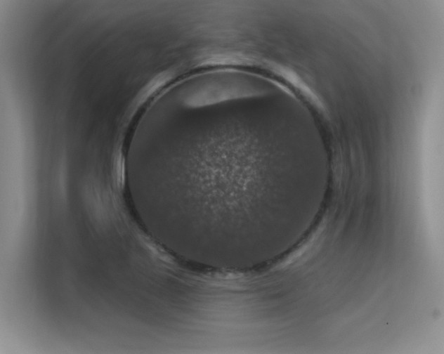 X0000112431221200908141424