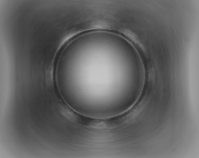 X0000112431222200908141424