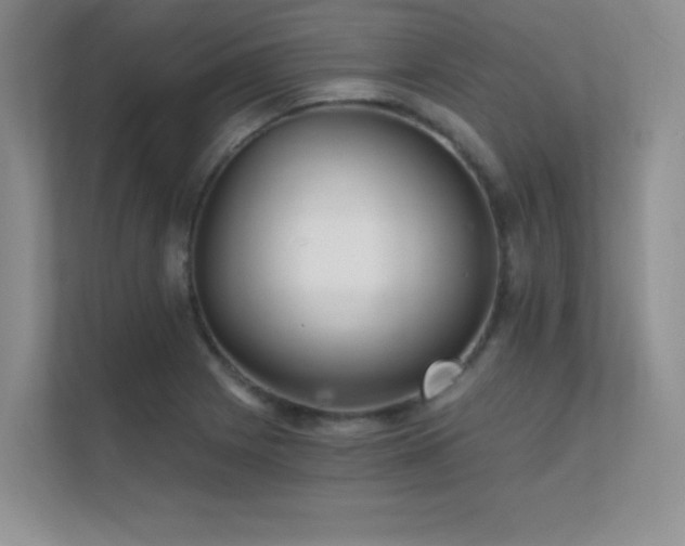 X0000112431225200908141424