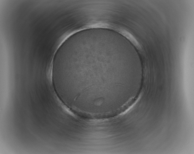 X0000112431228200908141424