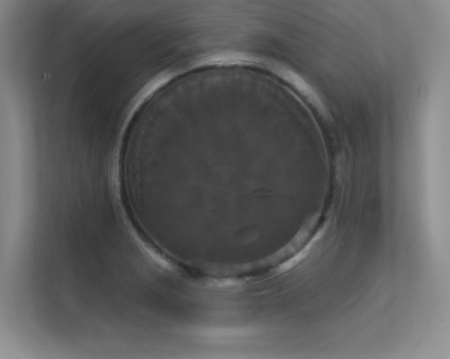 X0000112431229200908141424
