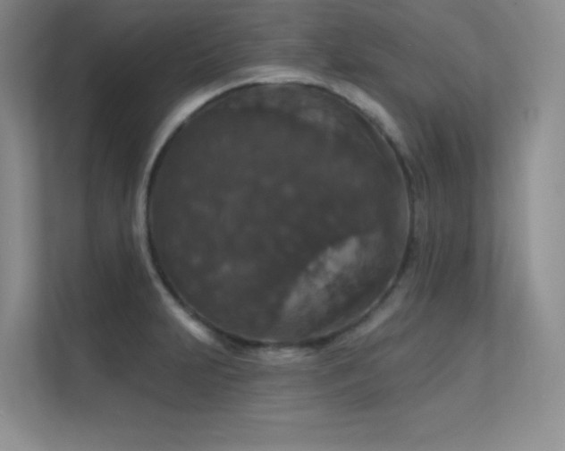 X0000112431231200908141424