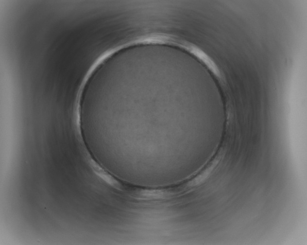 X0000112431232200908141424