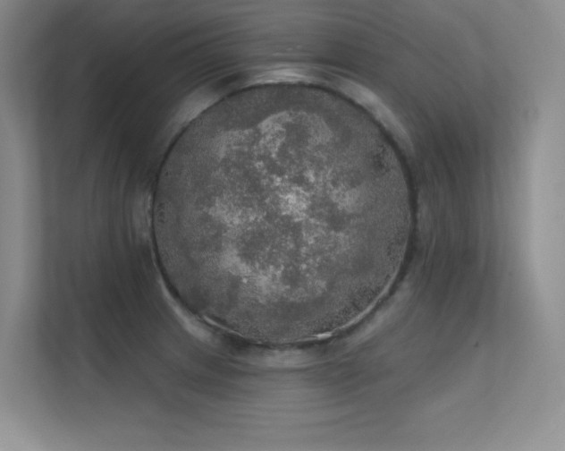 X0000112431233200908141424