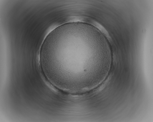 X0000112431234200908141424