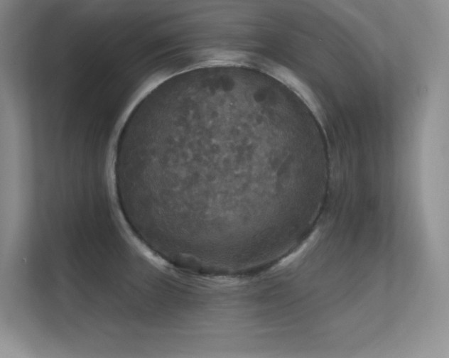 X0000112431235200908141424