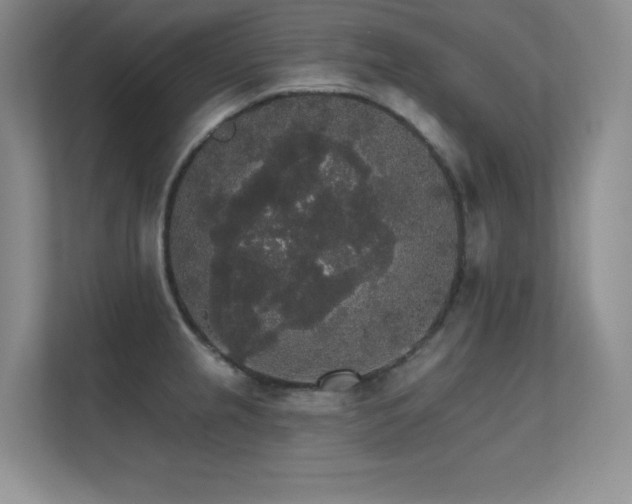 X0000112431237200908141424