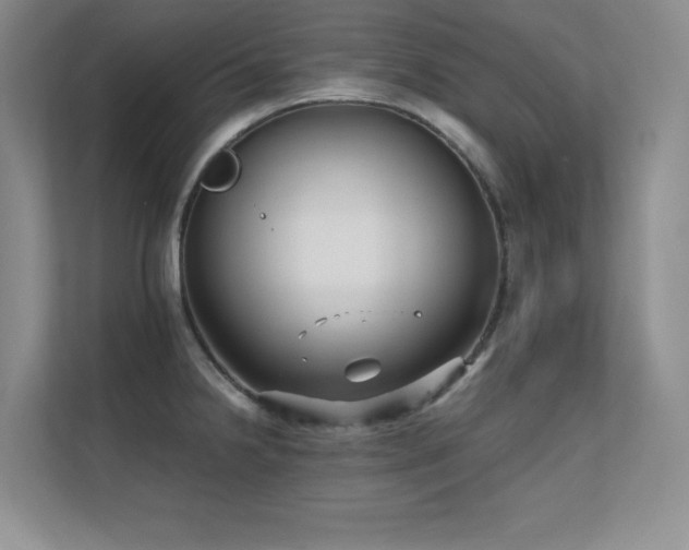 X0000112431238200908141424
